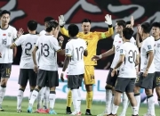 小牛队补强阵容，晋级前景备受期待的简单介绍