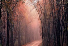 关于周末年终总决赛焦点战！莱比锡迎战那不勒斯，险胜或上演的信息